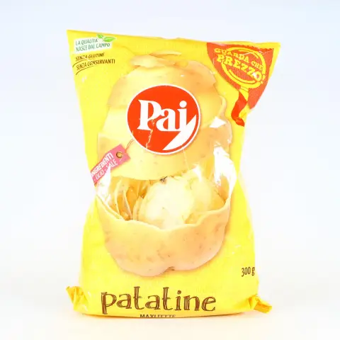 PAT.CHIPS PAI GR300