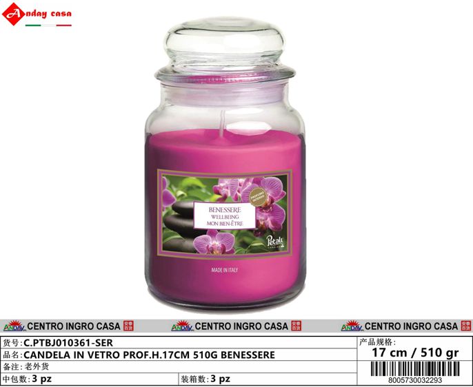 CANDELA IN VETRO PROF.H.17CM 510G BENESSERE